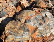 IMG-420.near Nulligine.WA.stromatolites.jpg